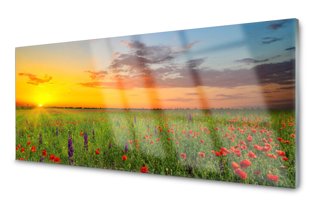 

Panel szklany do kuchni Słońce Łąka Kwiaty 125x50
