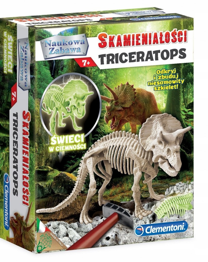 

Skamieniałości Triceratops Dinozaur Świeci Clement