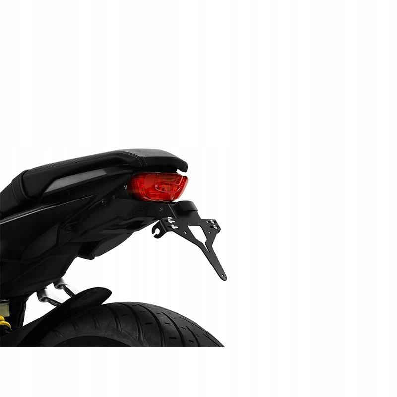 10005216 - ДЕРЖАТЕЛЬ НОМЕРНОГО ЗНАКА ZIEGER ДЛЯ HONDA CB650R