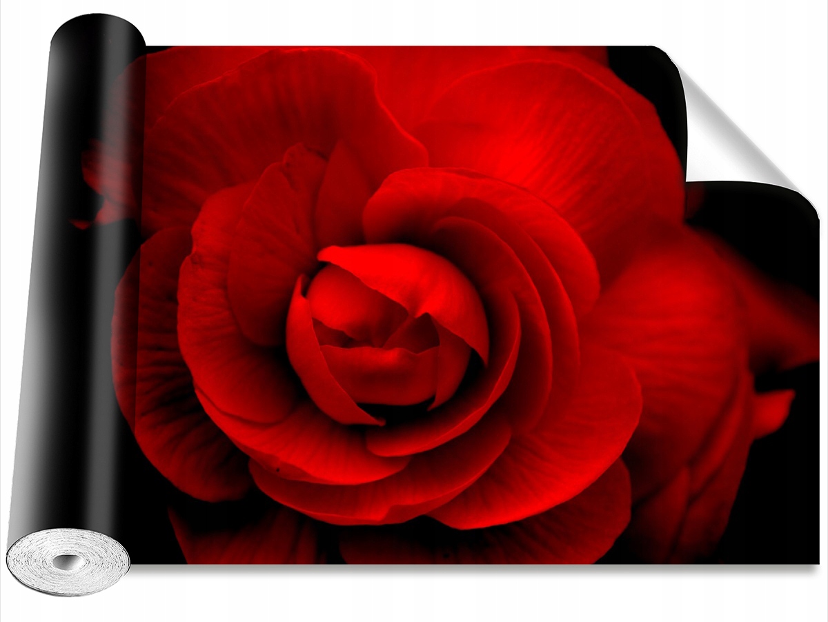 

Fototapeta Samoprzylepna Róża Czerwony - 208x146