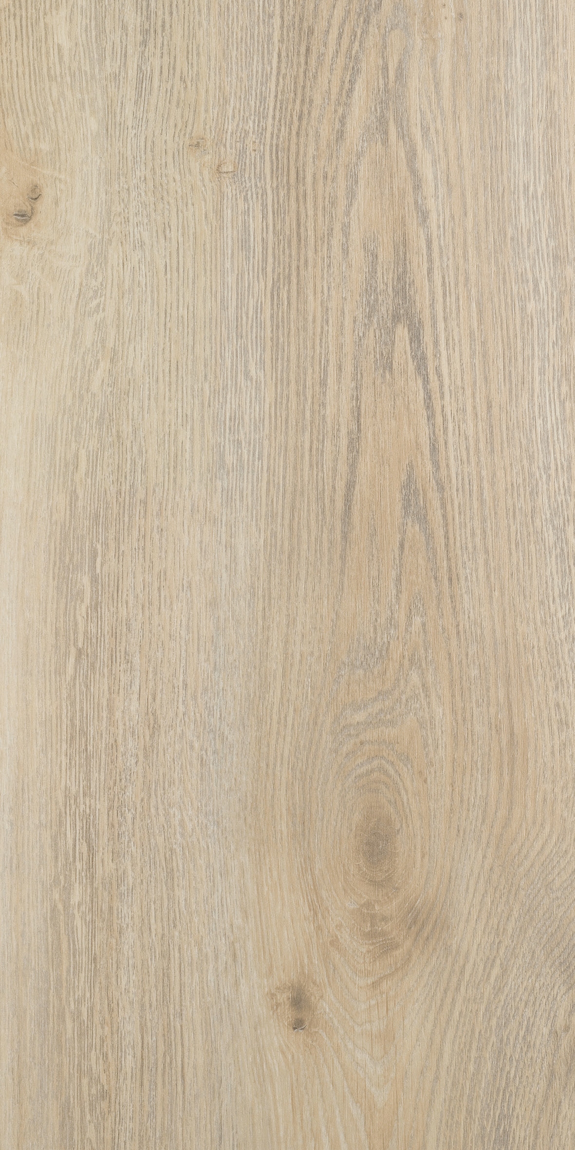 Panele Podłogowe 702 Aristote 8mm AC5 MedEDIUM Rodzaj panele laminowane