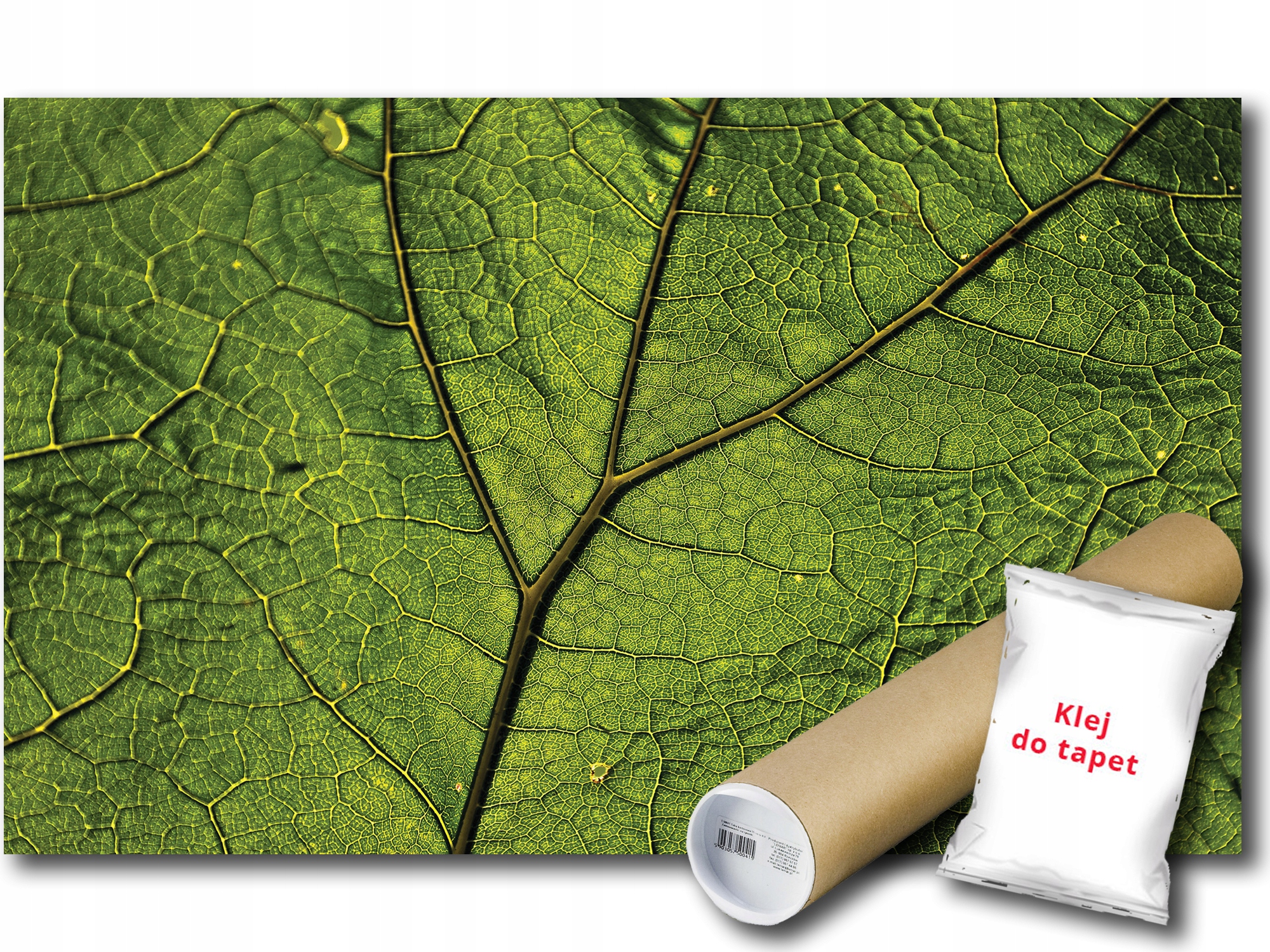 Fototapeta Vinylová List Makro Natura 254x184