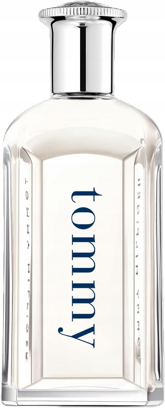 Pánská Toaletní Voda Tommy Hilfiger Tommy Boy 100 ML