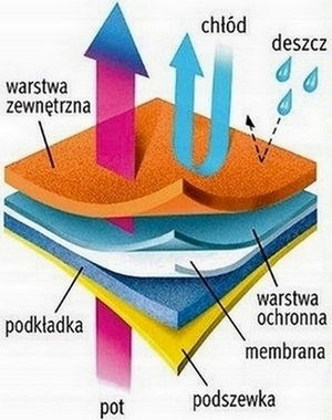 SN23 Śniegowce Dam American Tripletex Softshell 40 Materiał zewnętrzny inny