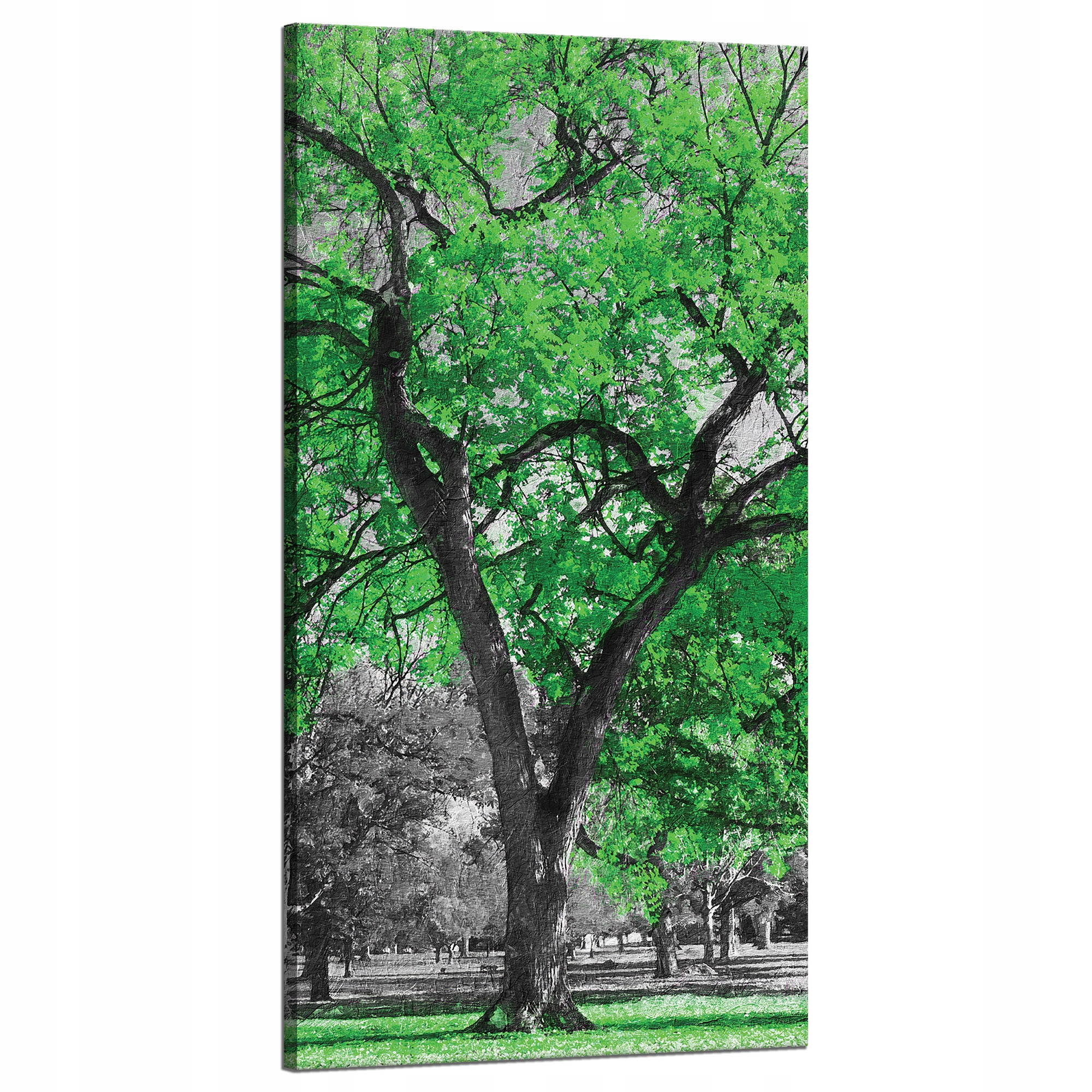 Obraz na plátně Černé Stromy Zelené Listy Umění 60x120 cm
