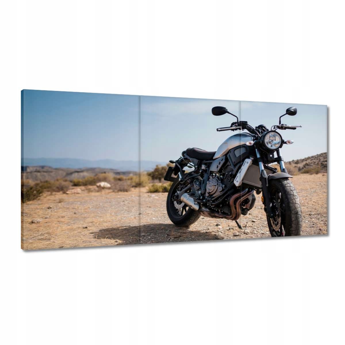Obrazy 180x90 Motocykel v teréne