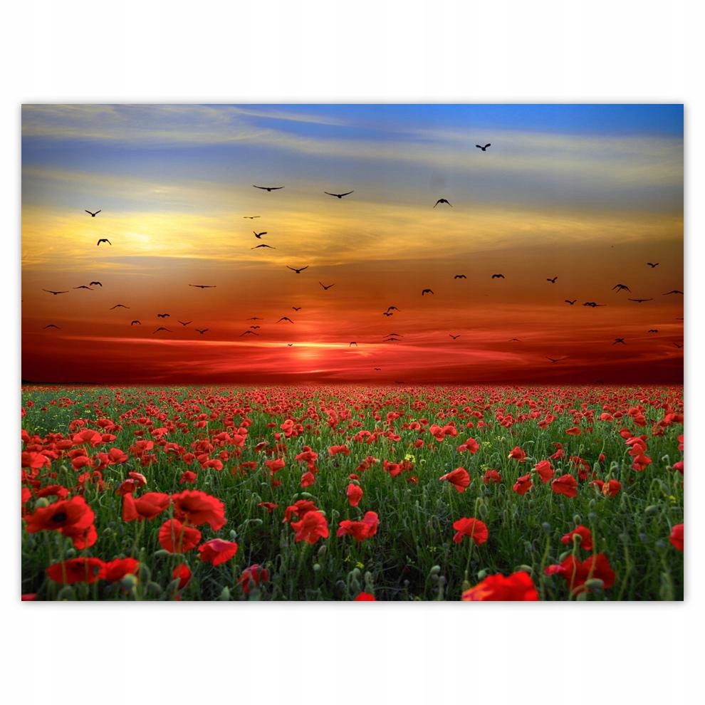 

Plakat 40x30 Pejzaż Krajobraz Widoczek