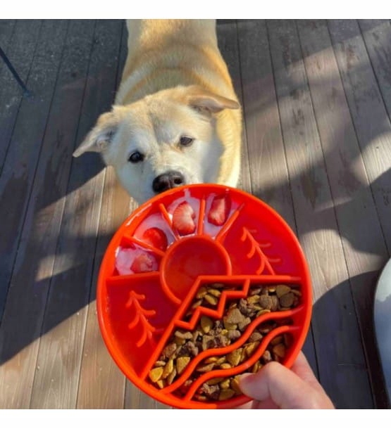 Dvojitá miska pro psa kočku zpomalující jídlo, kovová