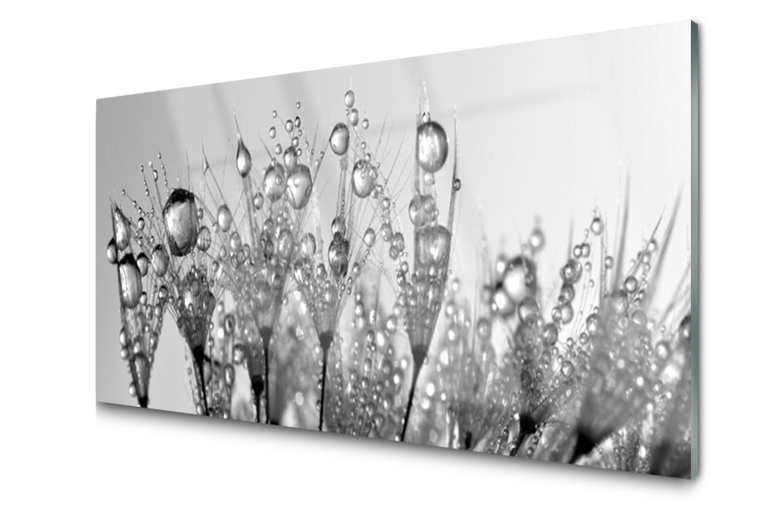 

Panel szklany Płytka Dmuchawiec Kropla 140x70