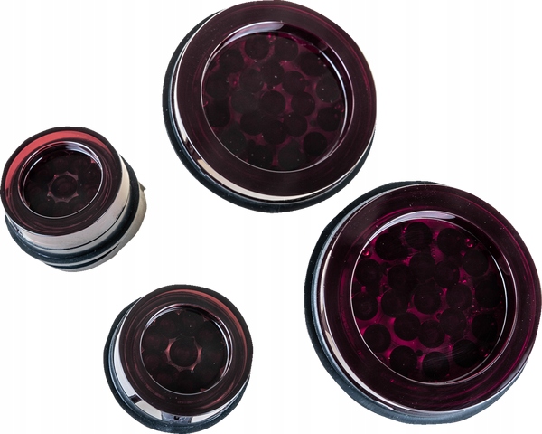 Tylne światła LED CAN AM RENEGADE RJWC POWERSPORTS