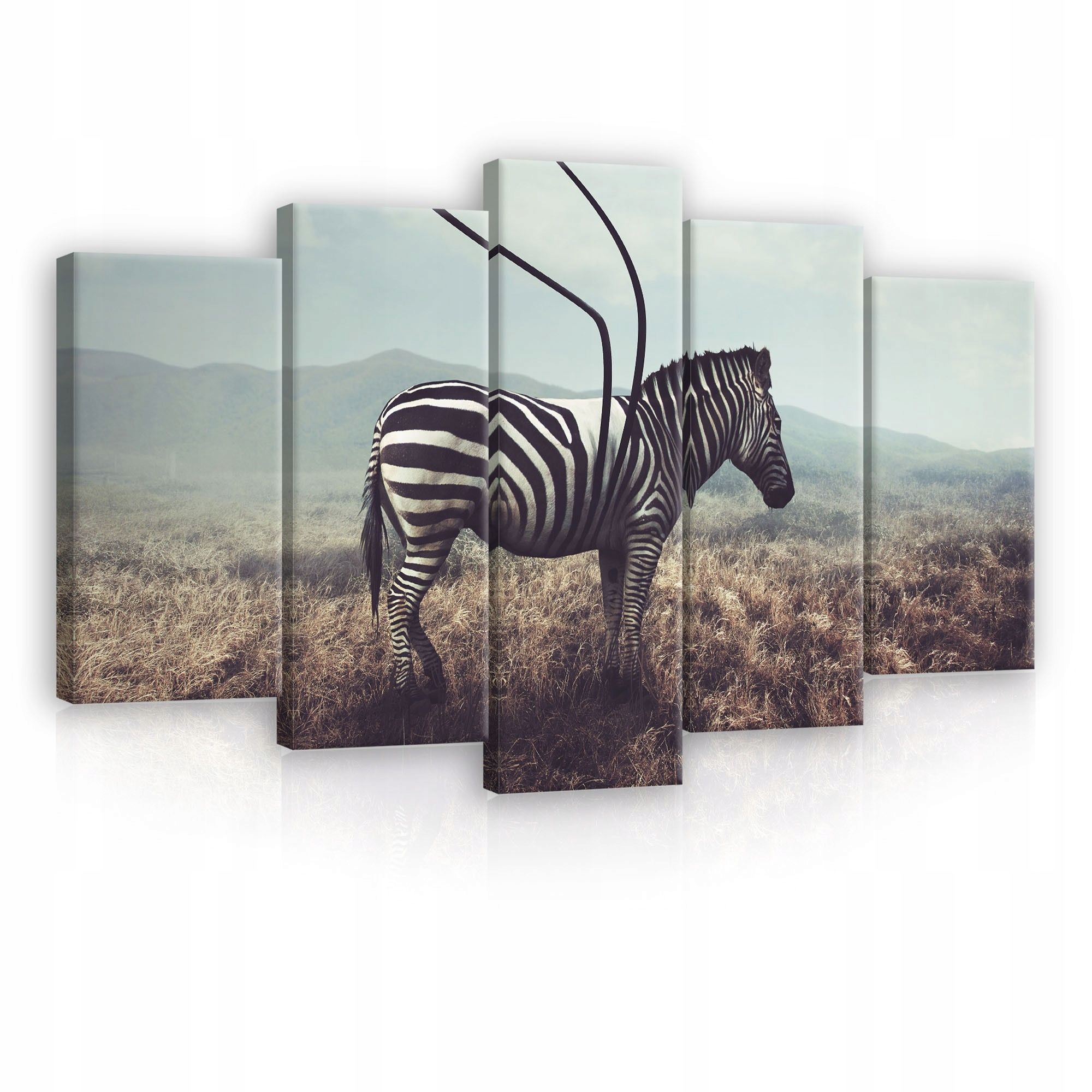 Obraz 100x60 Zebra savana příroda osamělost abstrakce minimalismus dekorace