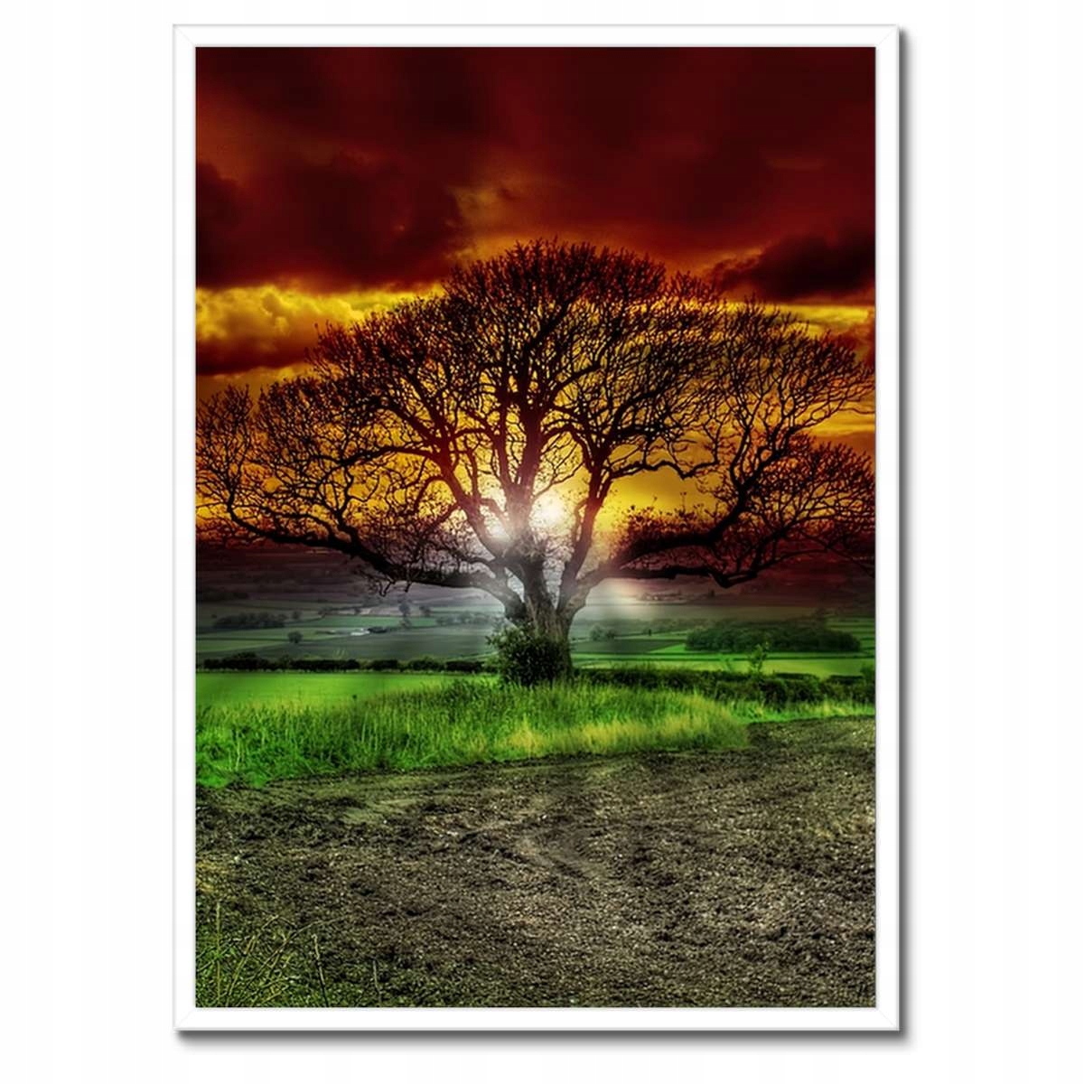Plakáty v rámu 50x70 Kouzelný strom krajina