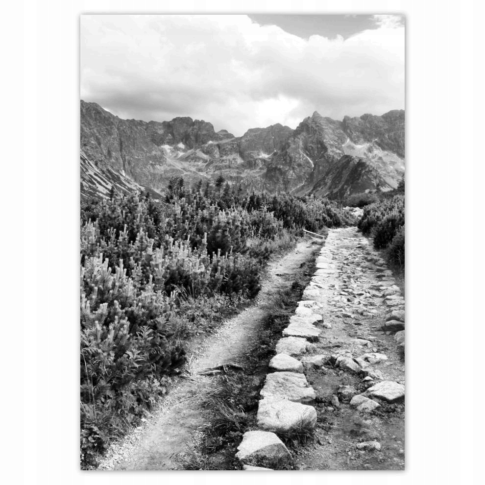 

Naklejki 50x70 Tatry Polskie góry Widok