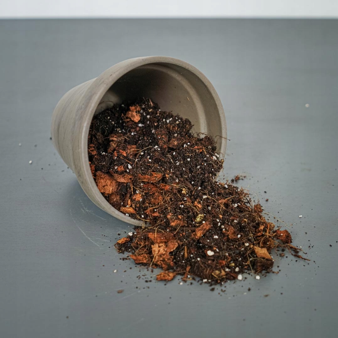 Podłoże Mieszanka Bigos do Monster Filodendron Pro Kod producenta PODL-PHIL