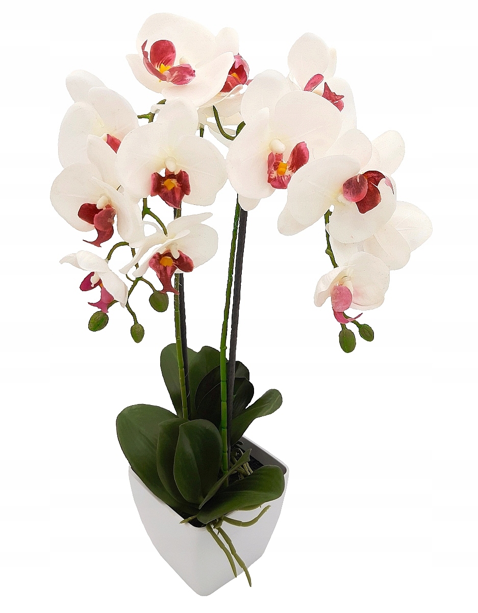 

Storczyk Sztuczny w doniczce gumowany Orchidea 60