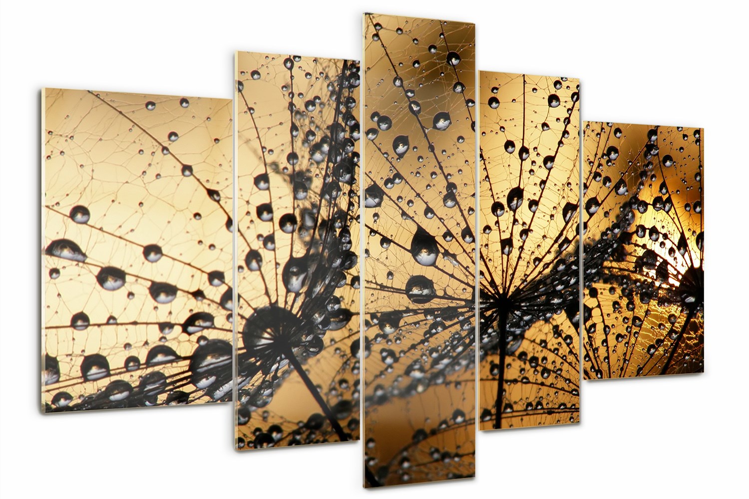 

Foto Obraz szklany tryptyk Nasiona dmuchawca