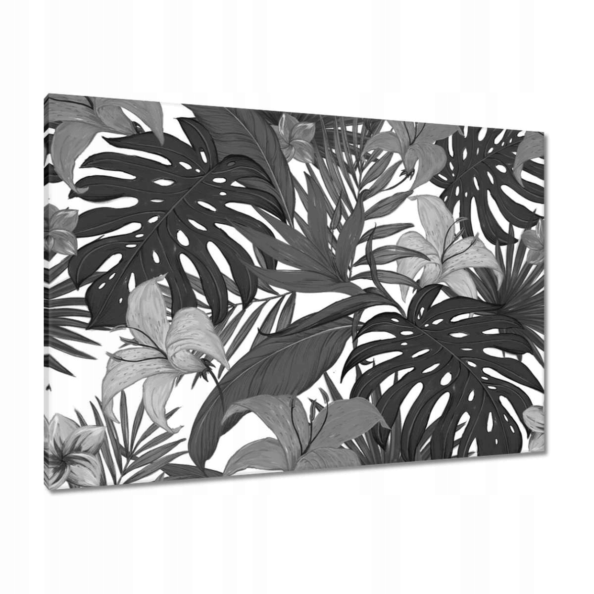 Obrazy Monstera 100x70