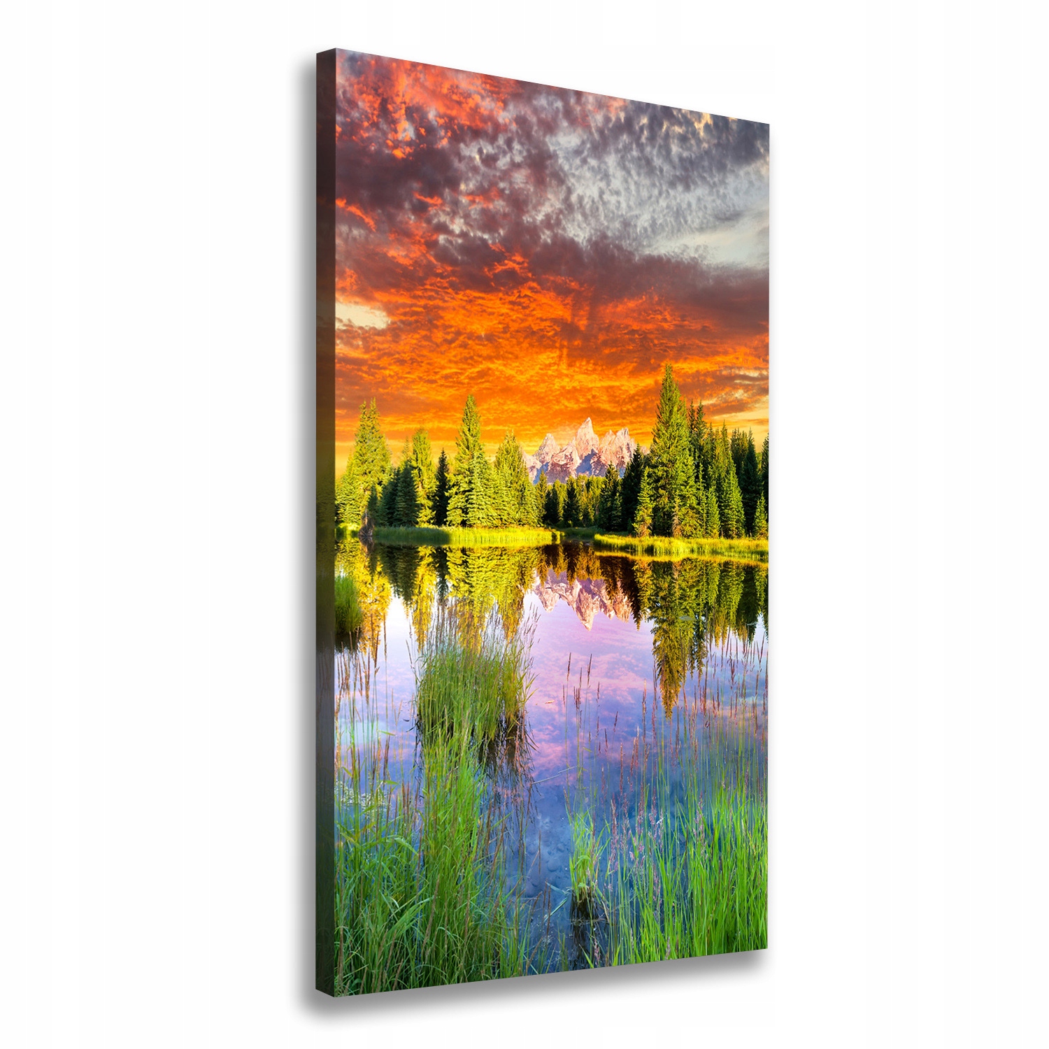 

Foto obraz na płótnie Jezioro w lesie 50x100 cm
