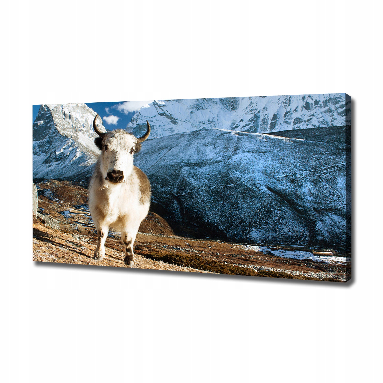 

Foto obraz canvas na ścianę Jak góry 120x60 cm