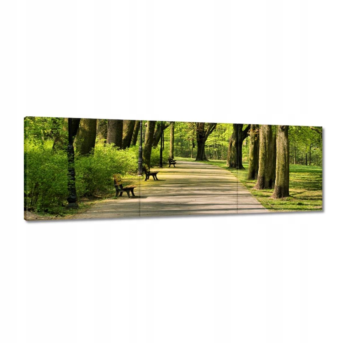 Obrazy 150x50 Park Citadela