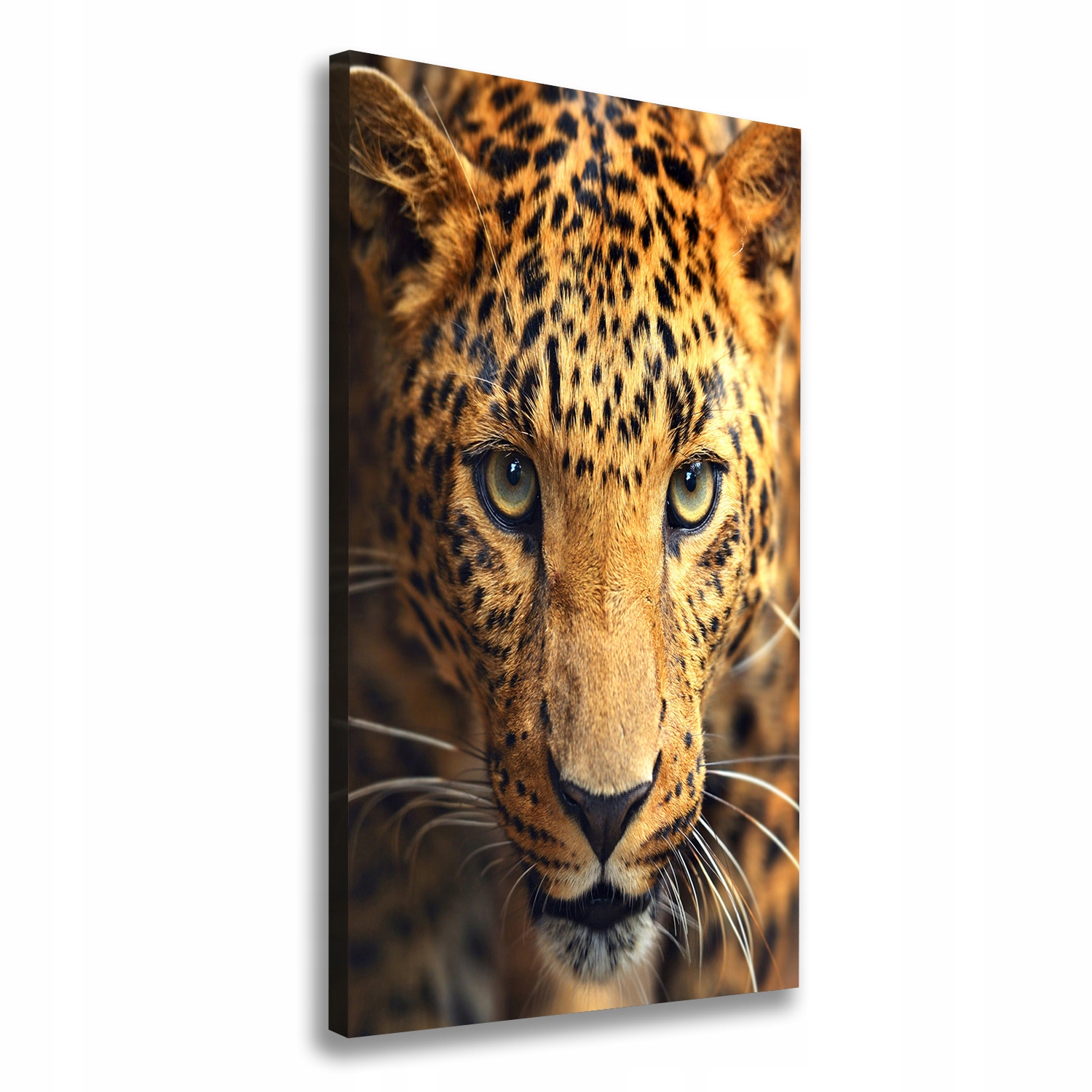 

Nowoczesny obraz canvas na ramie Lampart 50x100 cm
