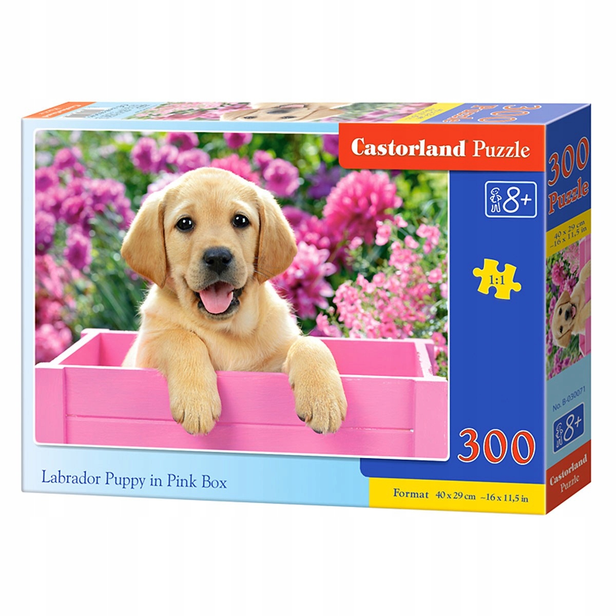 

030071 Castorland Puzzle 300el Labrador W Różowej