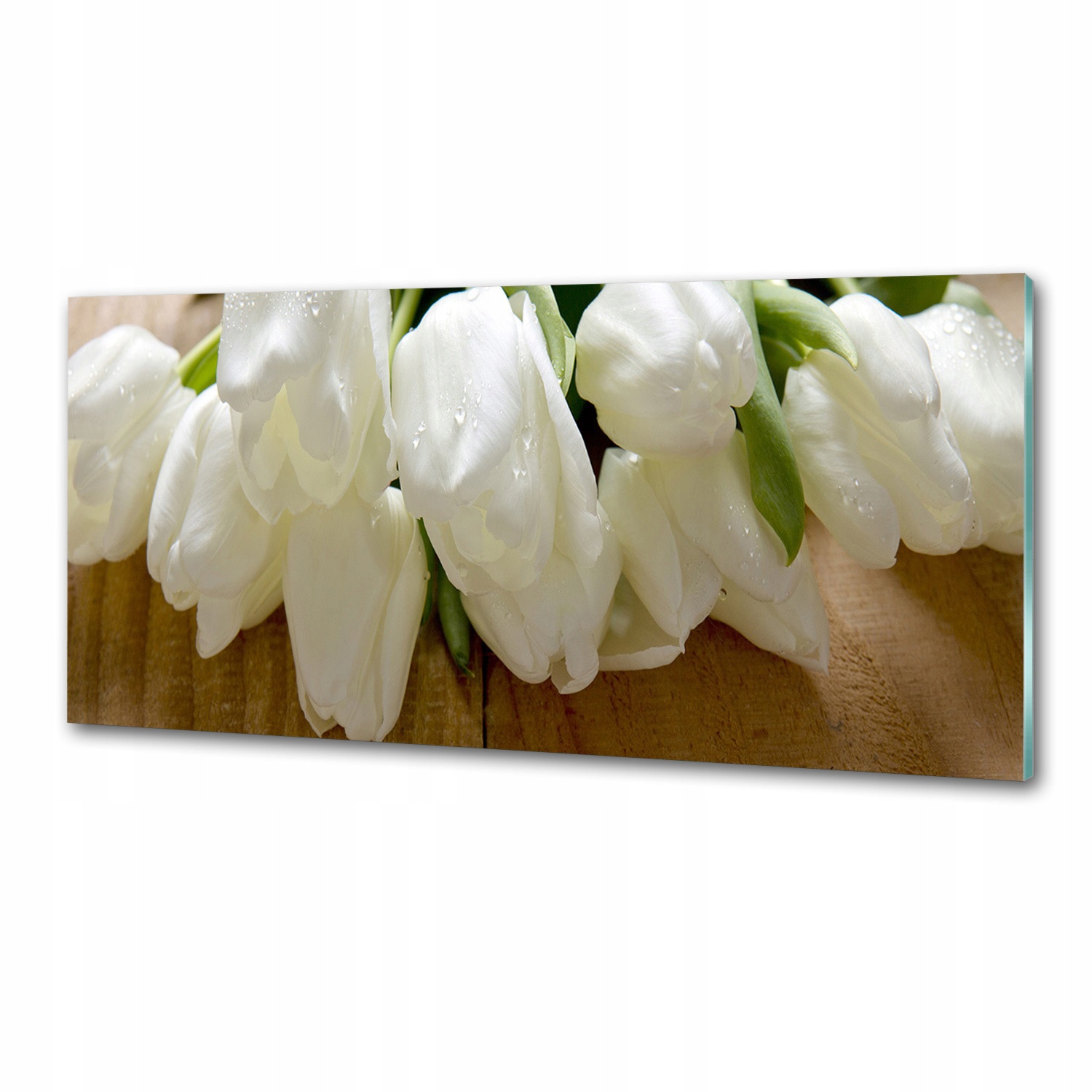Panel do kuchyně Bílé tulipány 125 x 50 cm Lepidlo