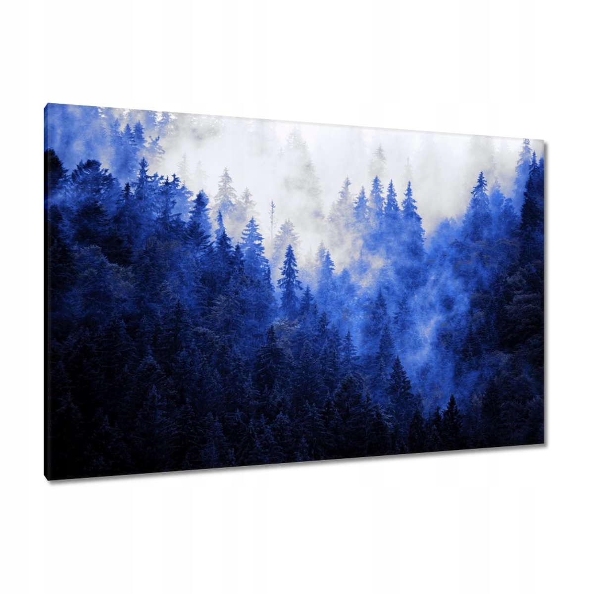 Obrazy 120x80 Modrá krajina Hory