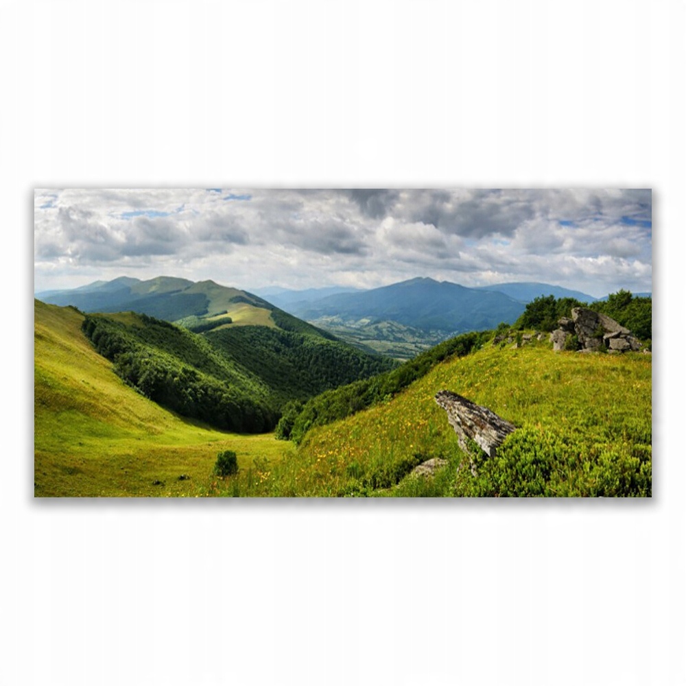 

Obraz akryl z grafiką 120x60 Góra Łąka Krajobraz