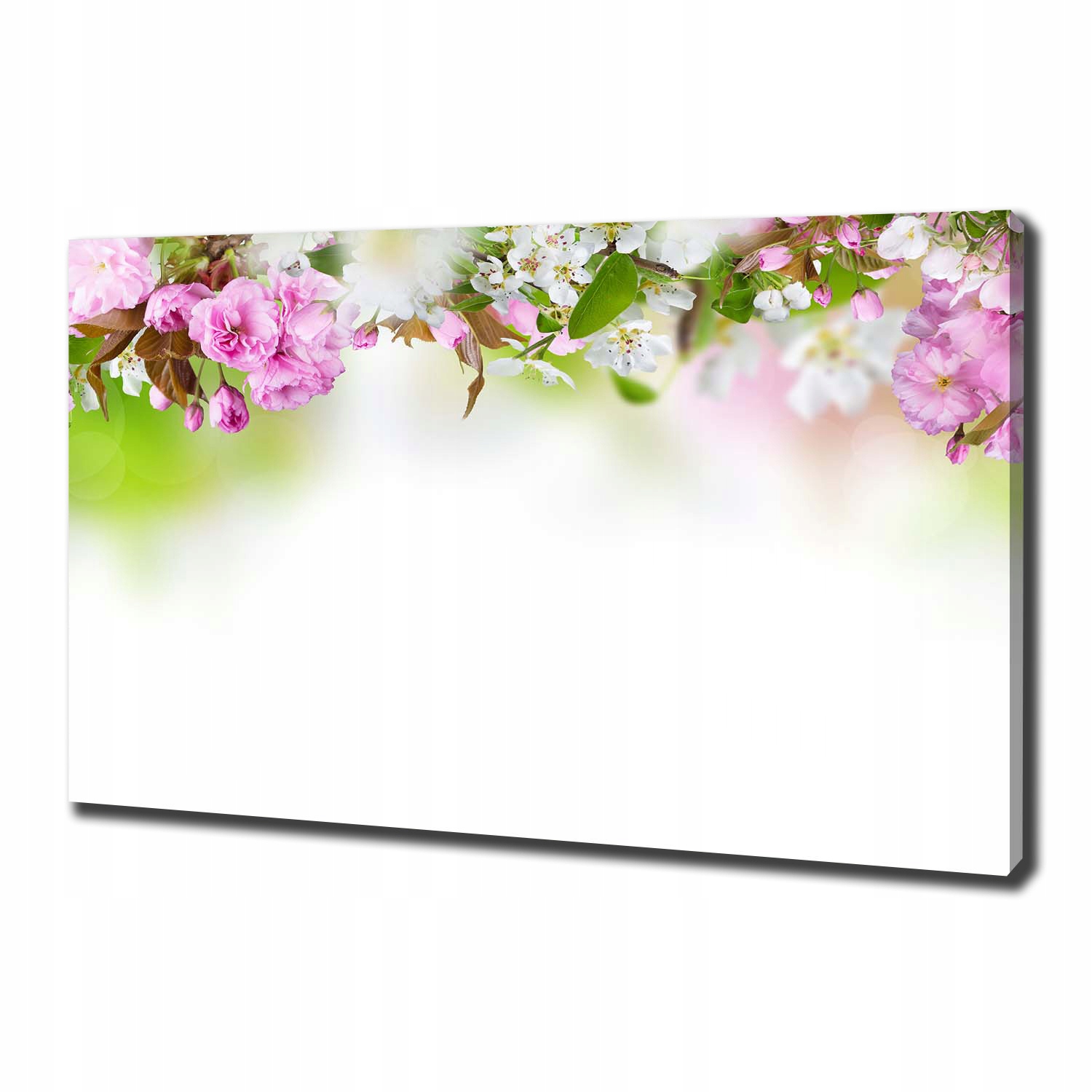 

Foto obraz na płótnie Wiosenne kwiaty 100x70 cm