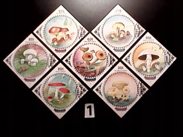Grzyby , Mongolia , MNH