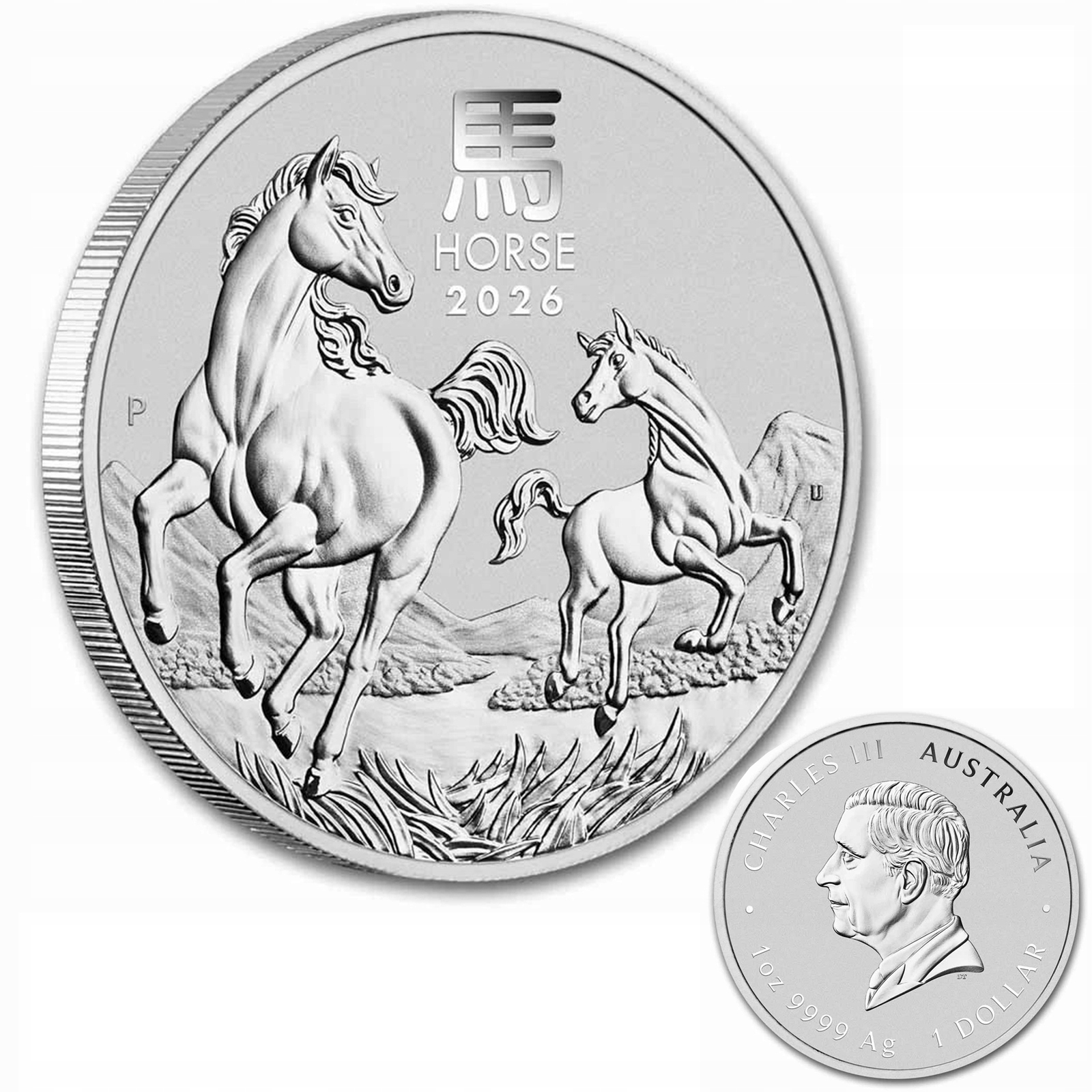 PAMIĄTKOWA MONETA KOŃ 1 UNCJA KOLEKCJONERSKA MONETA ARTYSTYCZNA METAL STOP 2026 KOŃ