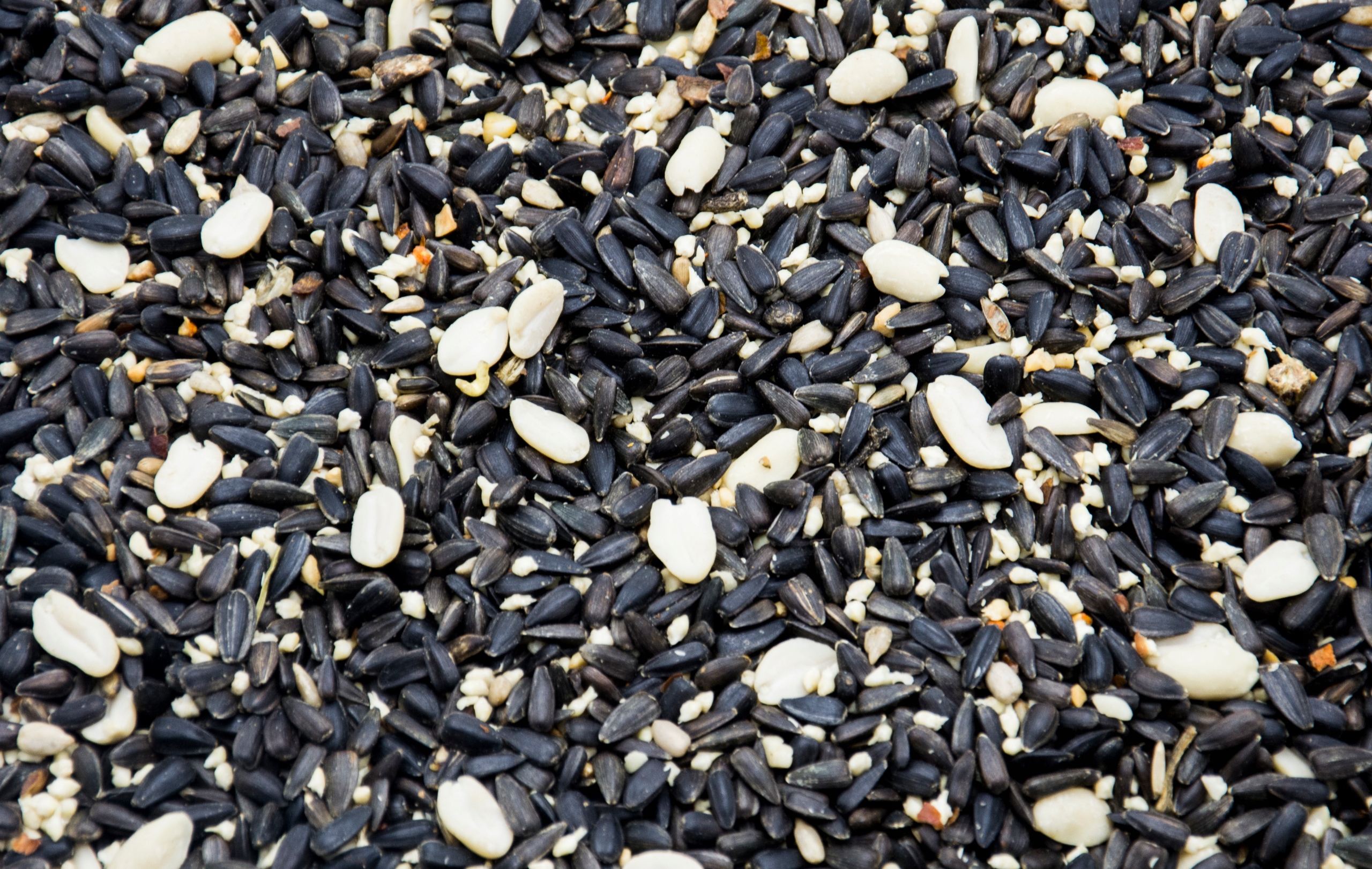 SŁONECZNIK CZARNY ŁUSKANY ORZECH KARMA DLA PTAKÓW Marka FloraZoo