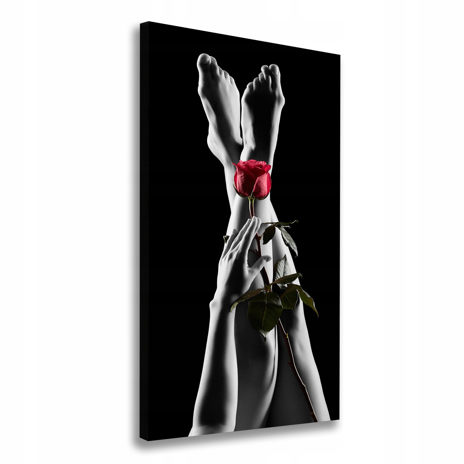 

Foto obraz canvas do salonu Róża i stopy 60x120