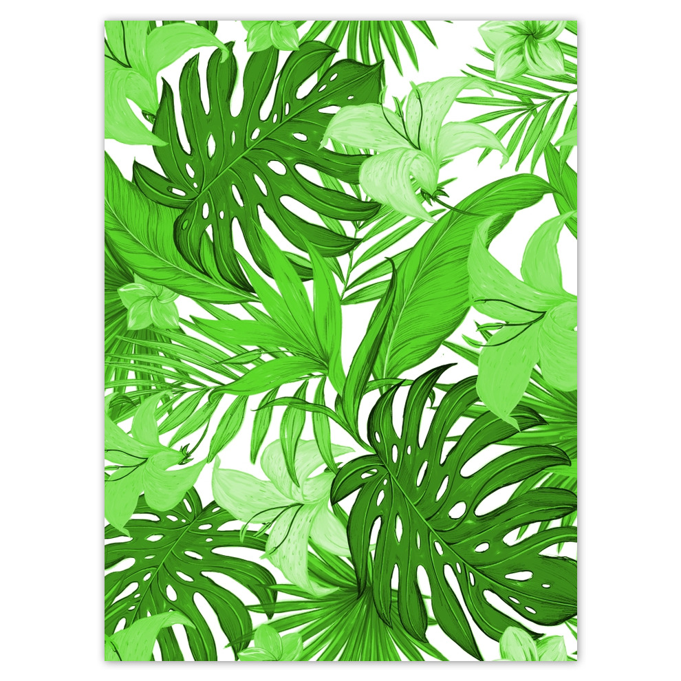 

Plakaty 100x135 Monstera