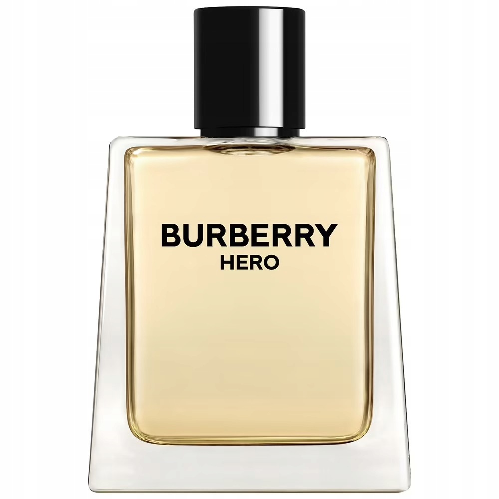 Burberry Hero toaletní voda sprej 100 ml
