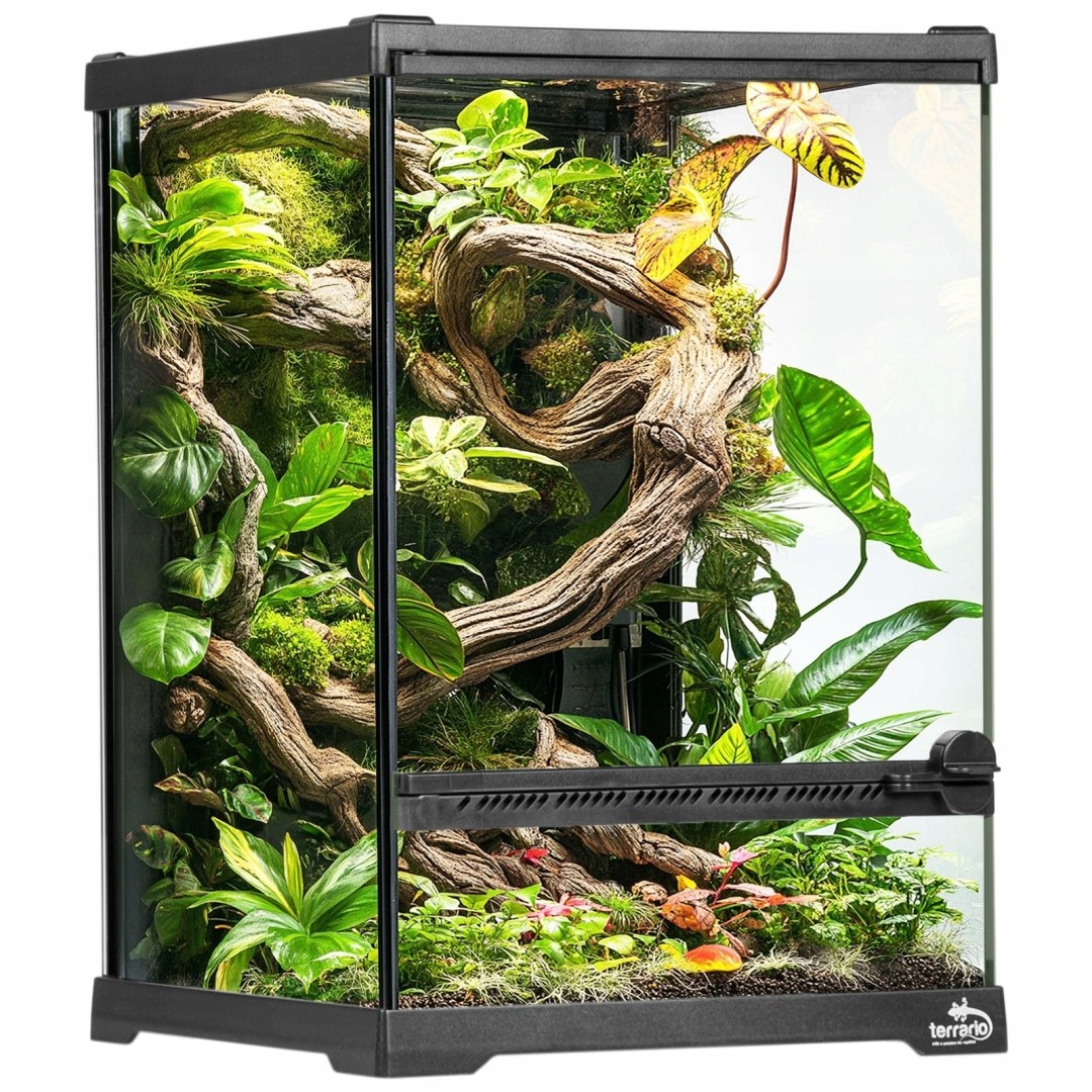 Terrario Oasis Verde 5 terárium 20x20x30 cm