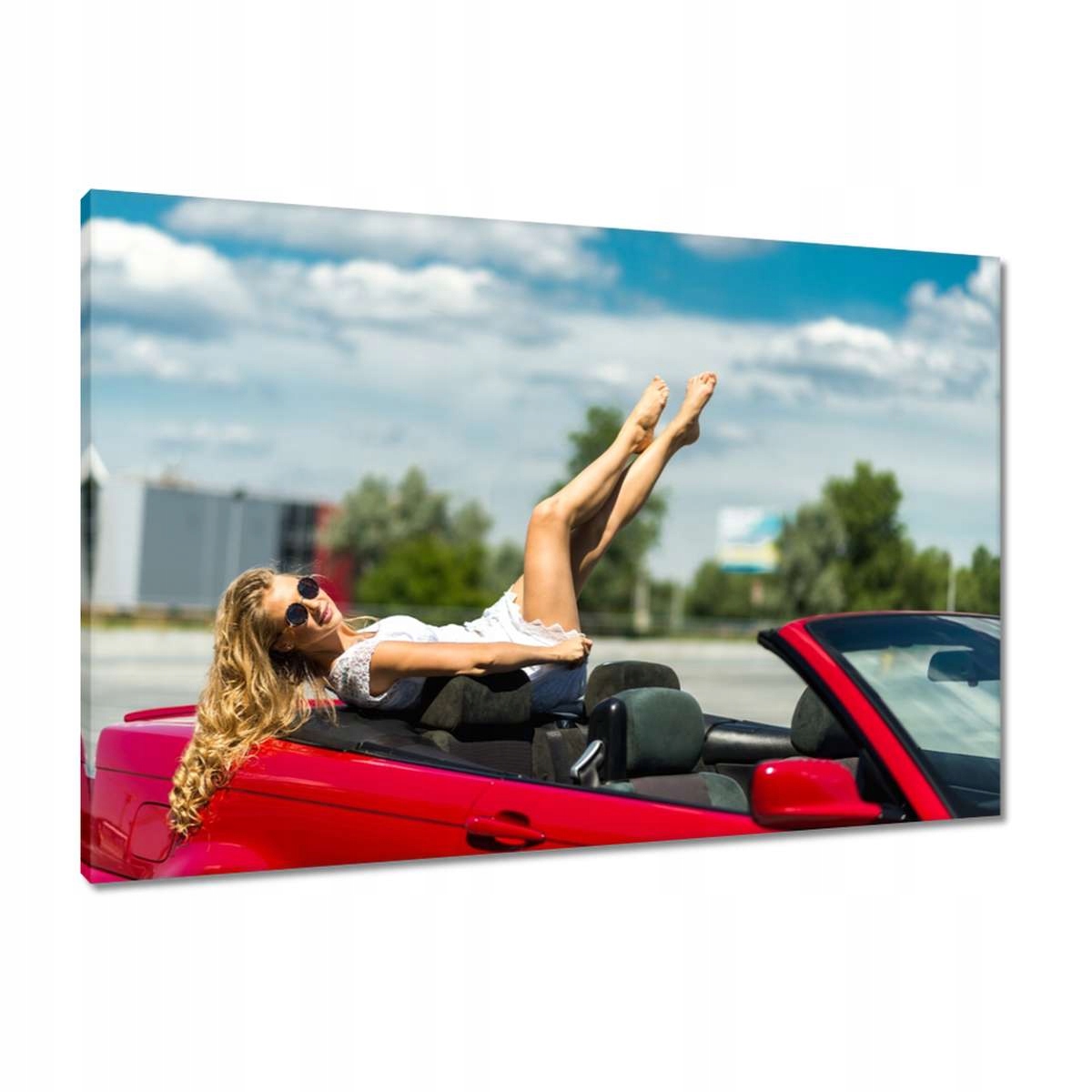Obrazy 90x60 Laska v kabrioletu
