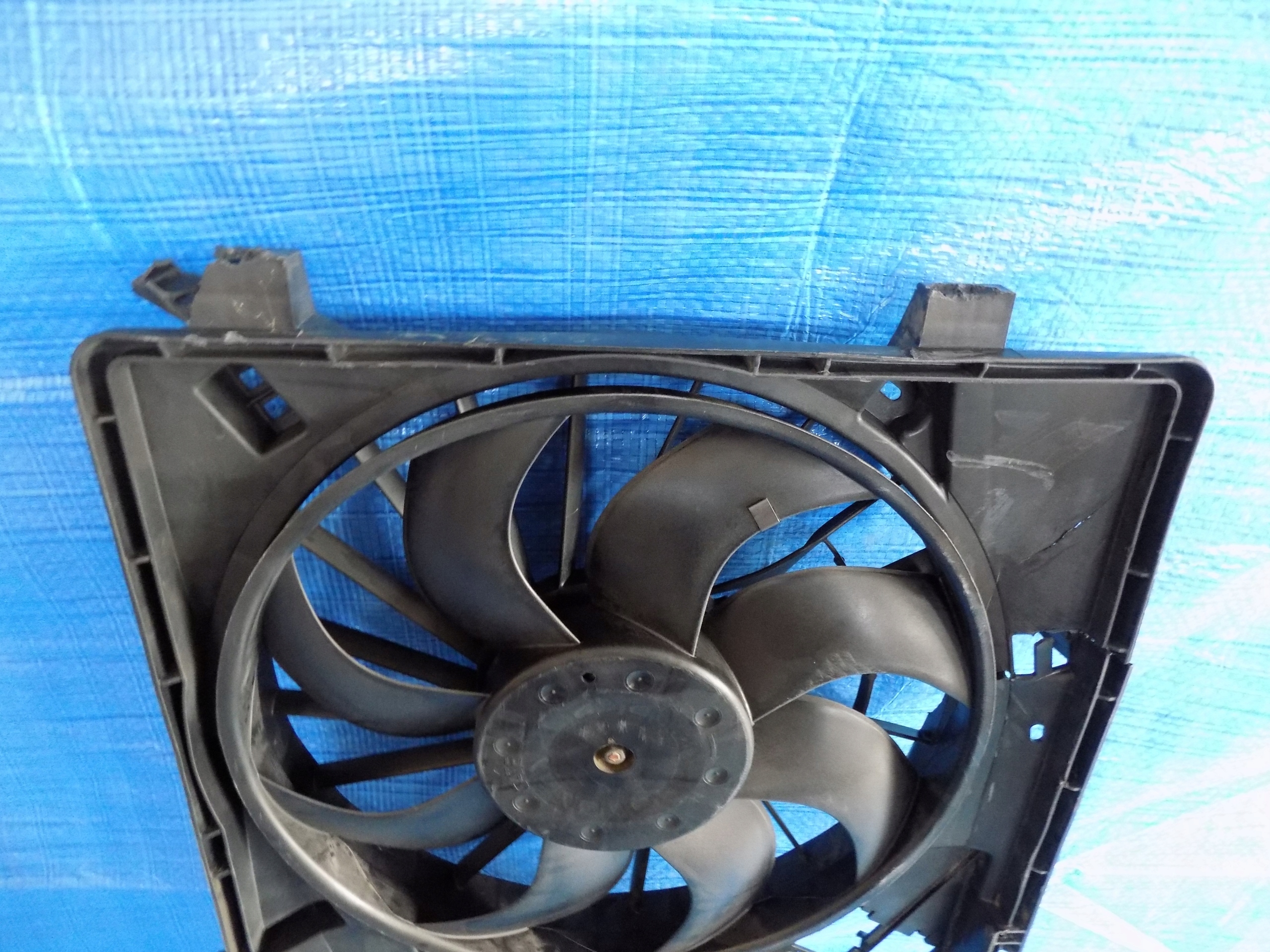 cover fans MASTER III front NAPED