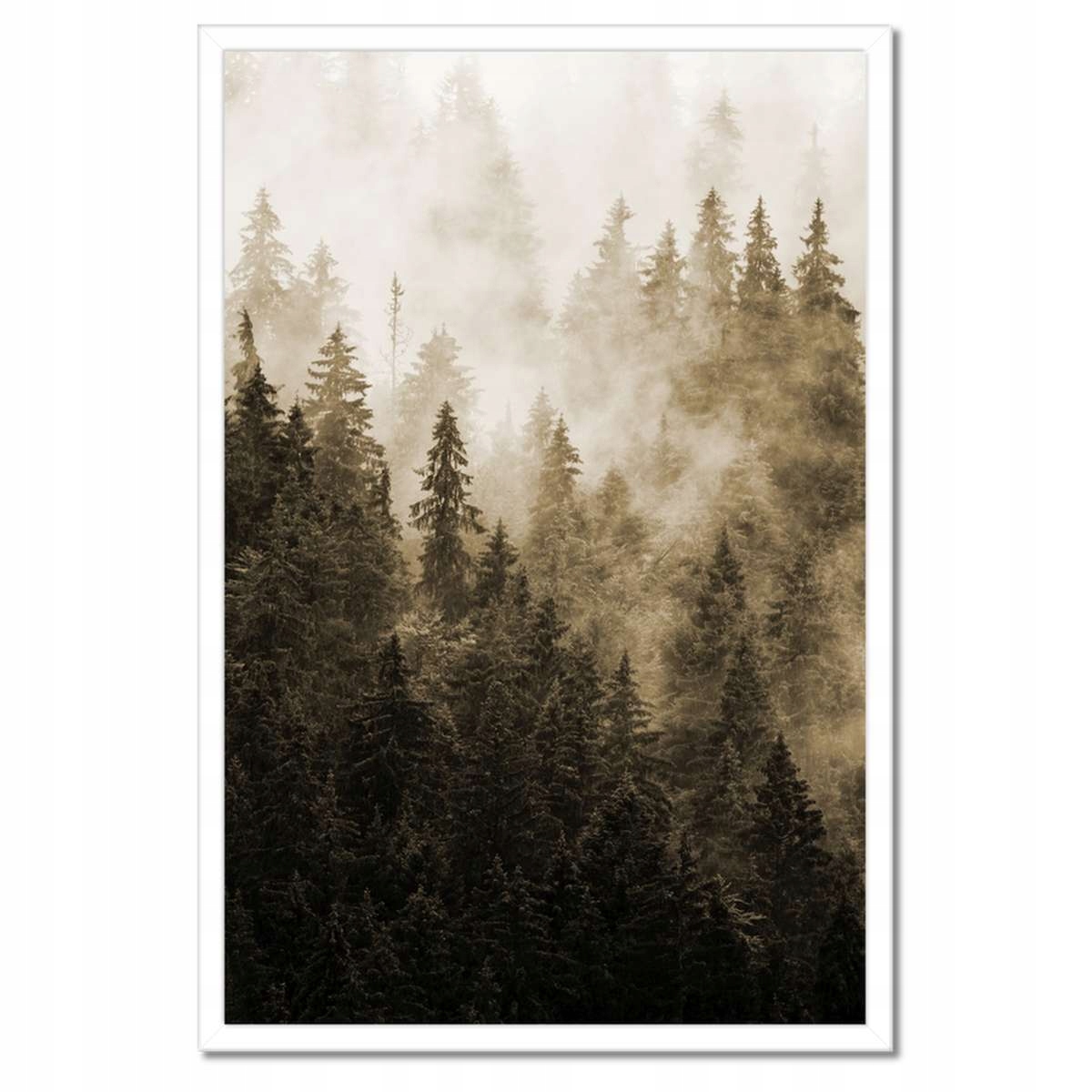 Plakát v bílém rámu 40x60 Krajina Sépie Hory Mlha