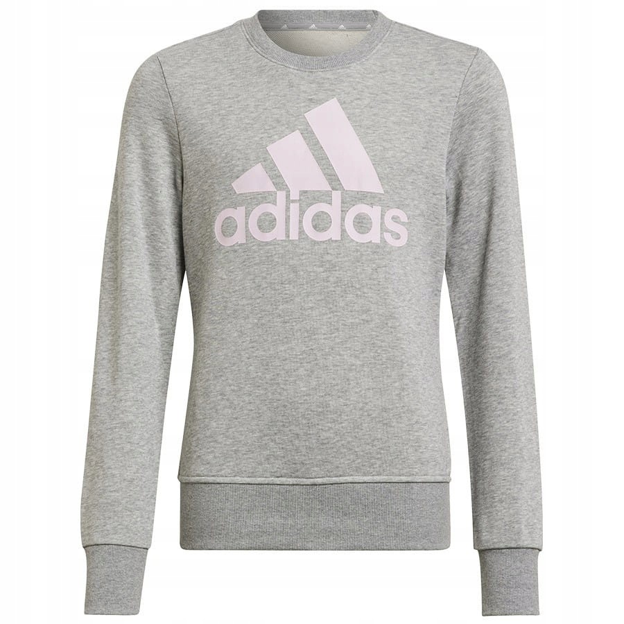 Bluza adidas Big Logo Swt HM8706 Szary, 152 CM