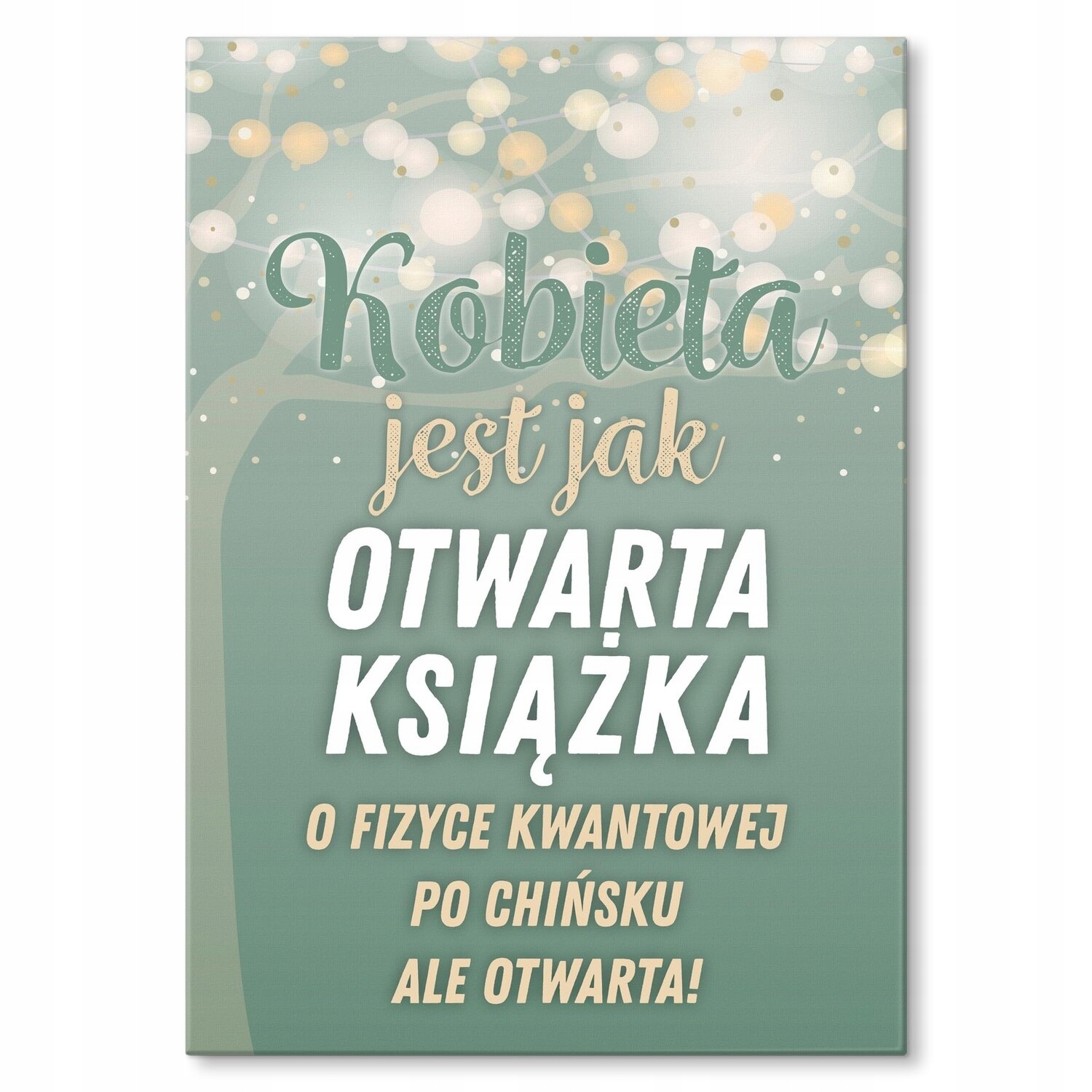 Kovový plakát Žena je jako kniha Dárek 30 x 42 cm