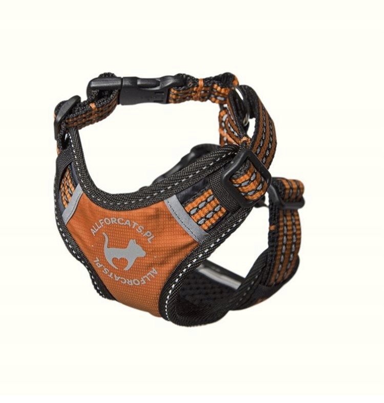 All For Cats Sportovní Postroj Xs Oranžový