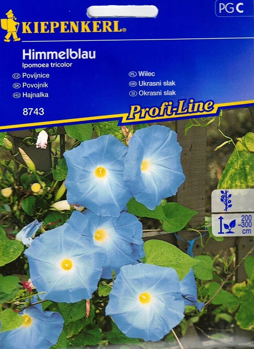 Kiepenkerl semená Wilec Himmelblau