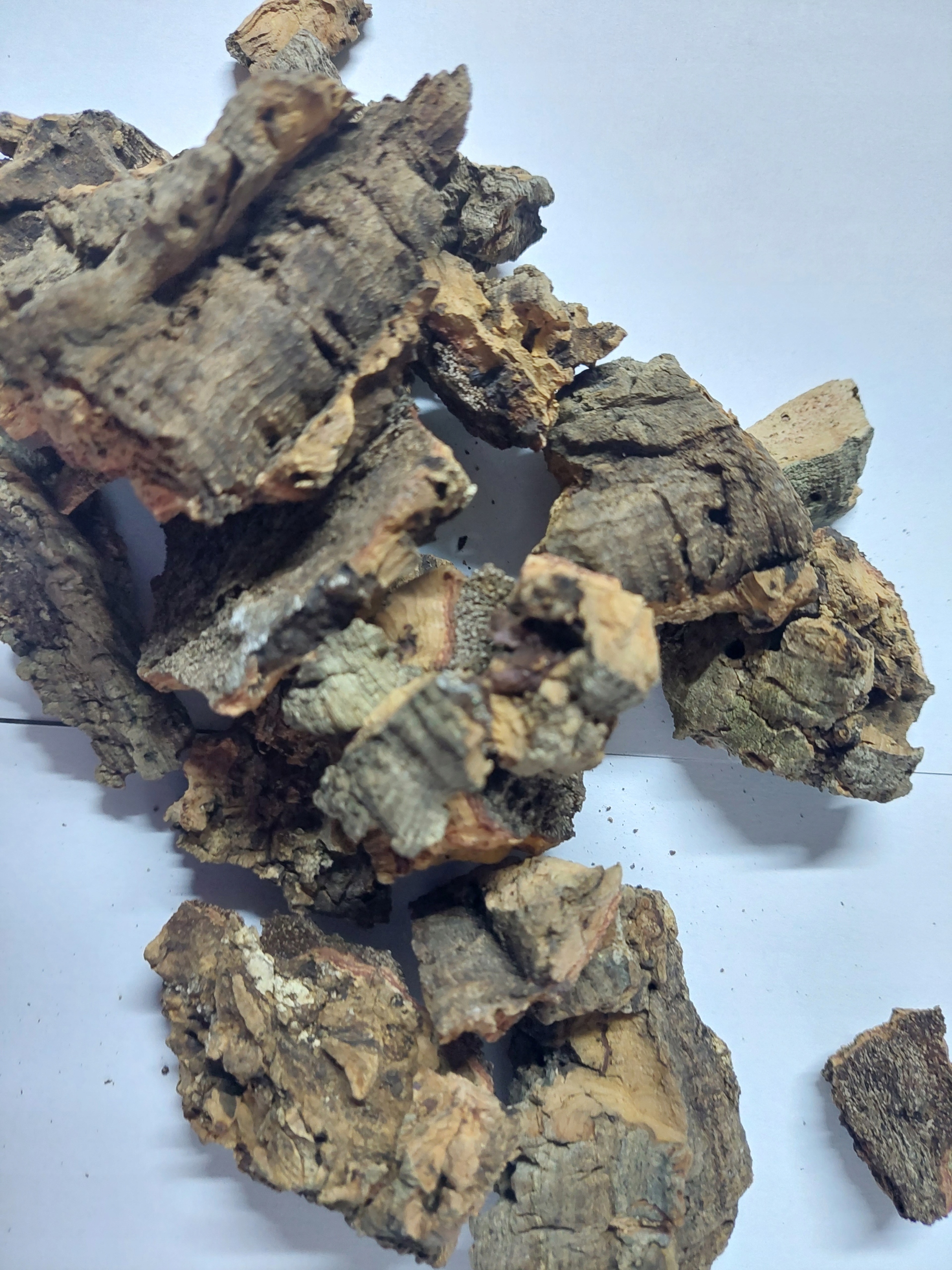

Ścinki kory dęby mix 105g pack isopod