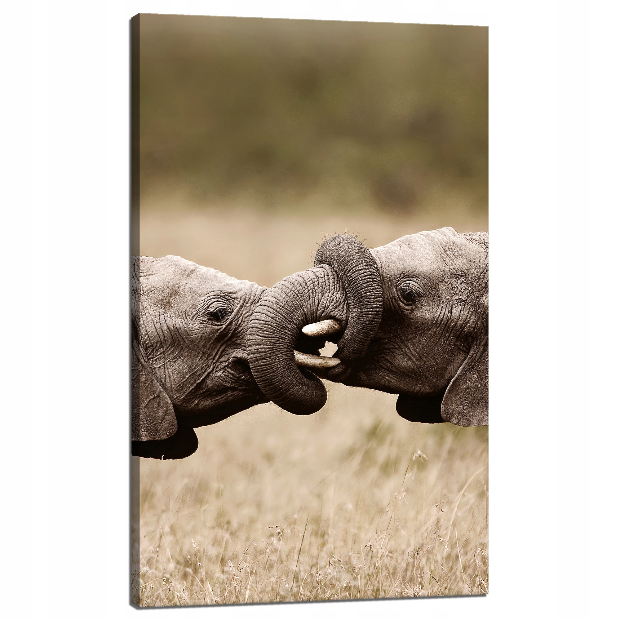 Obraz na plátně Setkání slonů Afrika Příroda 60x100 cm Ideální jako dárek