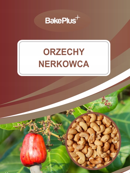 Levně Kešu ořechy 25 kg