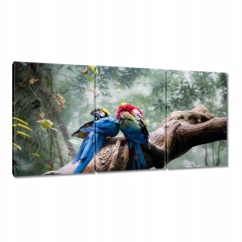 

Obrazy 120x60 Zakochane papużki