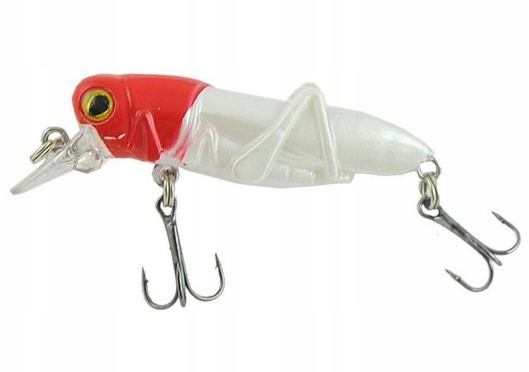 WOBL.JAX.ATRACT HOOPER 4,5cm D