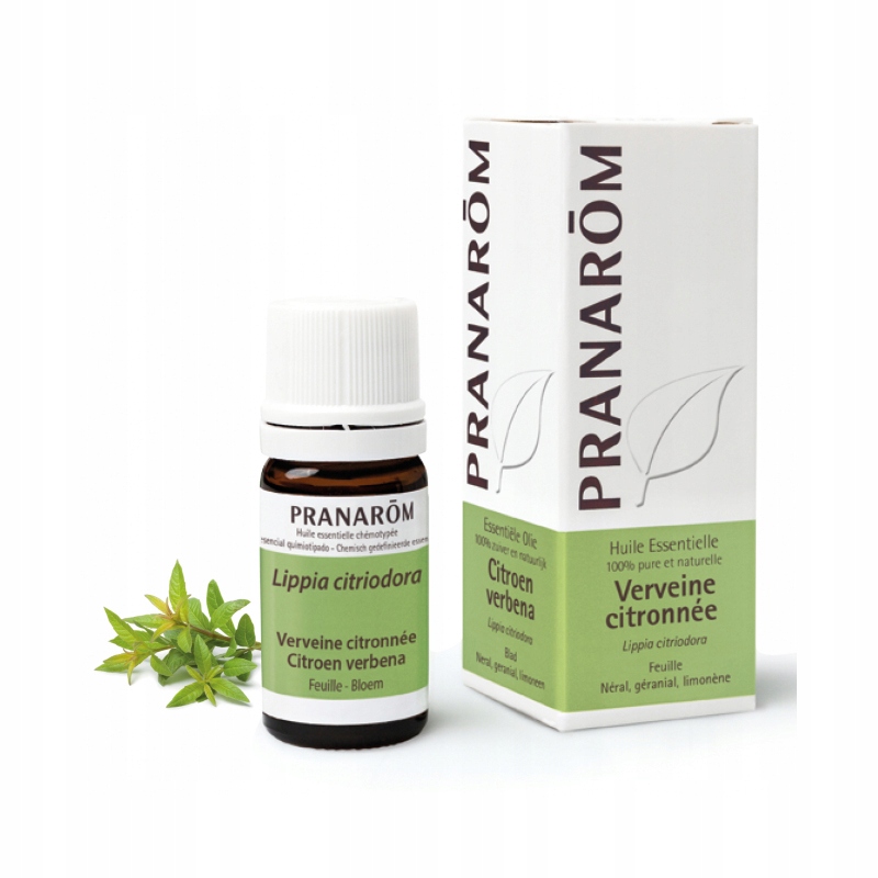 Olejek eteryczny Werbenowy Werbena cytrynowa Lippia trójlistna 5ml Pranarom